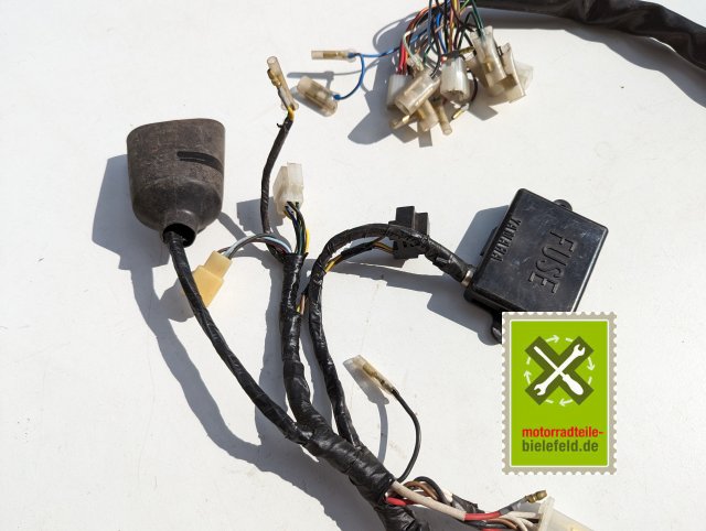 PXL_20240528_144304172